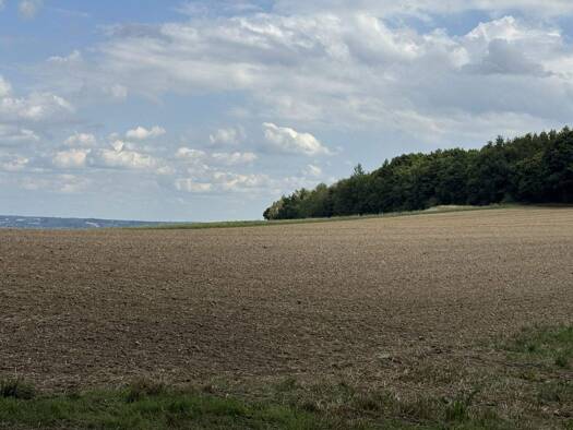 Land-/Forstwirtschaft zum Kauf 246.225 € 14.070 m² Grundstück Mettenbach Essenbach 84051