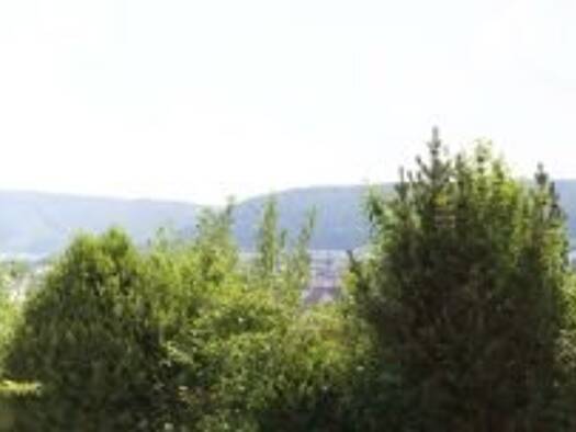 Studio zur Miete 500 € 1 Zimmer 28 m² EG Wurmlingen 78573