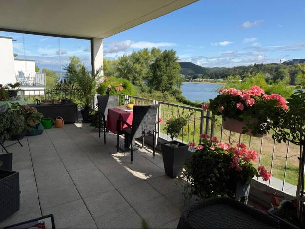 Wohnung zum Kauf provisionsfrei 359.000 € 2 Zimmer 90 m² 1. Geschoss Niederbreisig Bad Breisig 53498