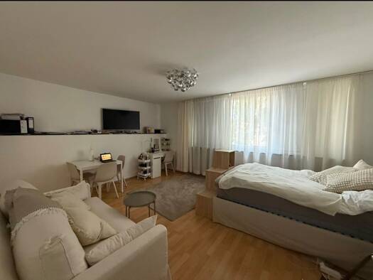 Wohnung zur Miete 610 € 1 Zimmer 36 m² Geschoss 1/5 frei ab sofort Bleichstraße 51 Offenbach am Main Offenbach am Main 63065