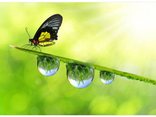 Wohnung zum Kauf provisionsfrei 164.500 € 2 Zimmer 56 m² EG Neuruppin 16816