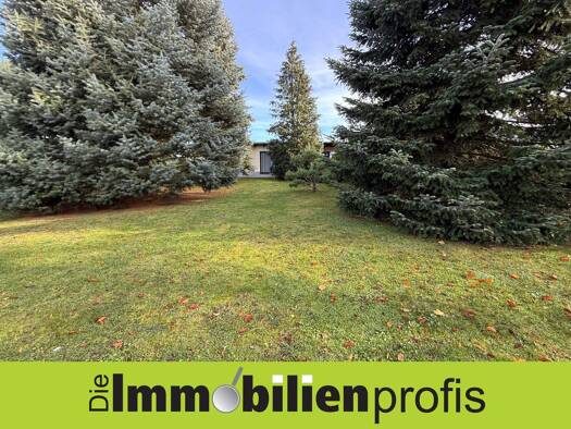 Bungalow zum Kauf 362.000 € 3 Zimmer 113 m² 1.500 m² Grundstück Oberlosa Plauen 08527