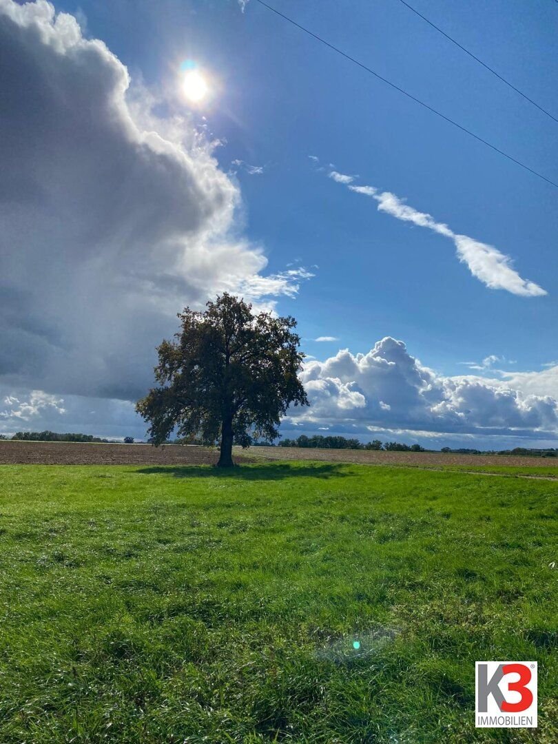 Landwirtschaftliche Fläche zum Kauf 3.750.000 € 150.000 m²<br/>Grundstück Thierham Bad Füssing 94072