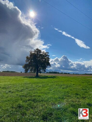 Landwirtschaftliche Fläche zum Kauf 3.750.000 € 150.000 m² Grundstück Thierham Bad Füssing 94072