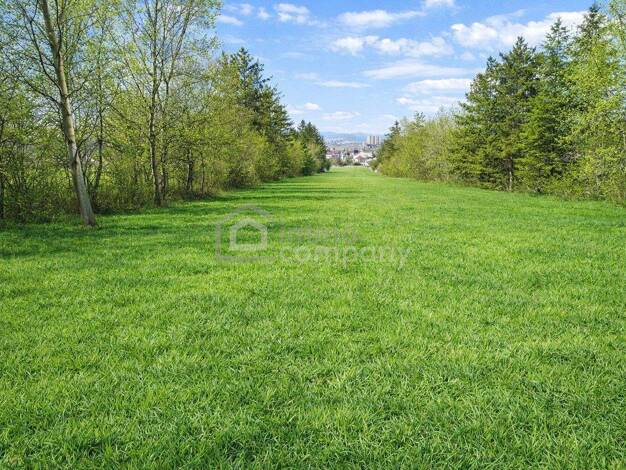 Grundstück zum Kauf 179.000 € 636 m² Grundstück Mannersdorf am Leithagebirge 2452