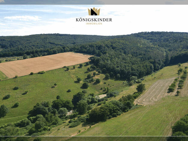 Forstwirtschaft zum Kauf 1 m² Grundstück Atzelrode Rotenburg an der Fulda 36199