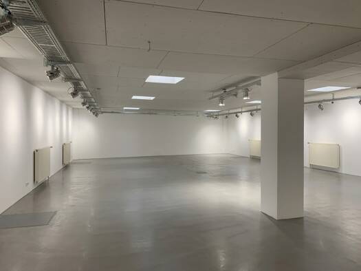 Lagerhalle zur Miete provisionsfrei 220 m² Lagerfläche teilbar ab 50 m² Varel Varel 26316