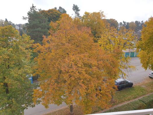 Wohnung zum Kauf 184.000 € 3 Zimmer 74 m² 3. Geschoss Waldkraiburg 84478