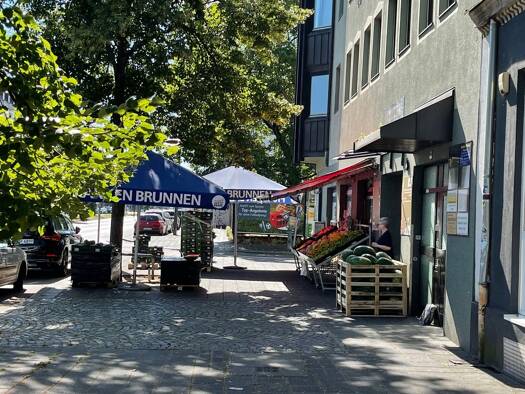 Ladenfläche zur Miete provisionsfrei 480 m² Verkaufsfläche Rosenau Nürnberg 90403