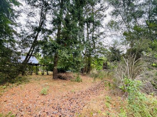 Grundstück zum Kauf 270.000 € 1.014 m² Grundstück Vogelsdorf Petershagen 15370