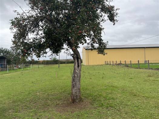 Grundstück zum Kauf 20.000 € 1.090 m² Grundstück Nichtewitz Arzberg 04886
