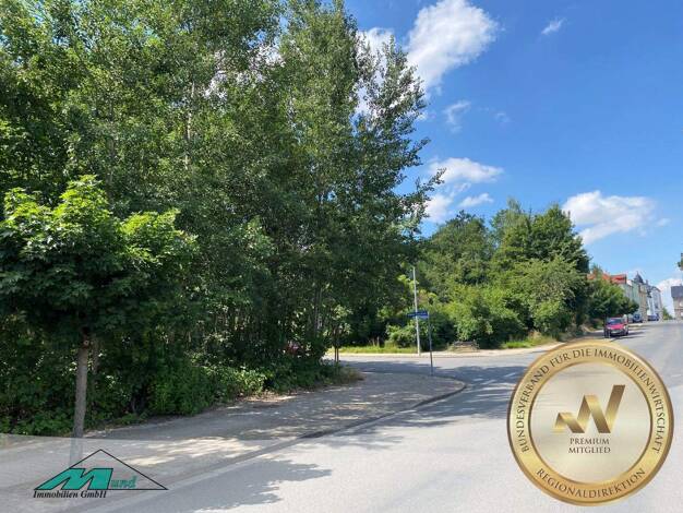 Grundstück zum Kauf provisionsfrei 115.000 € 550 m² Grundstück Wilhelm-Pieck-Straße 1 Bad Lausick 04651