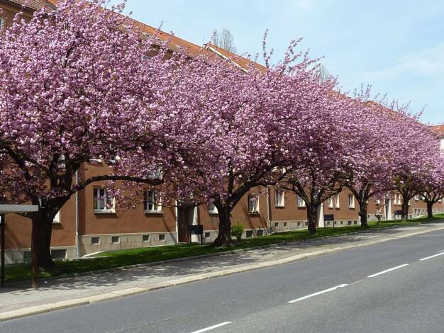 Wohnung zur Miete 270 € 2 Zimmer 45,9 m² 3. Geschoss Lutherviertel Lutherviertel 09126