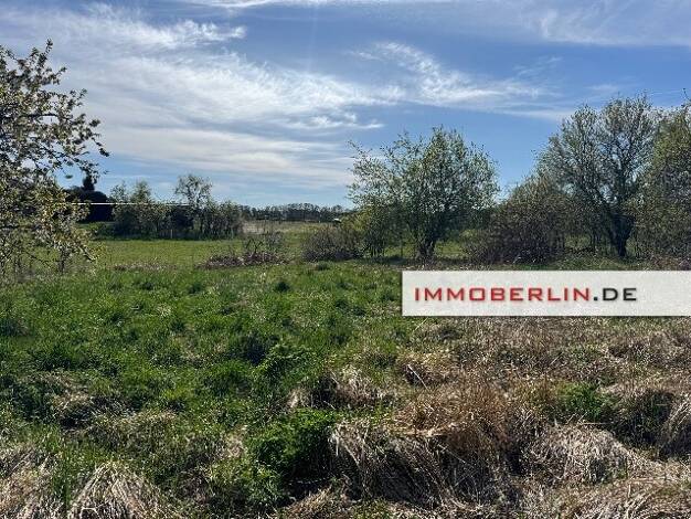 Einfamilienhaus zum Kauf 394.000 € 4 Zimmer 200 m² 4.000 m² Grundstück Hohenstein Strausberg 15344