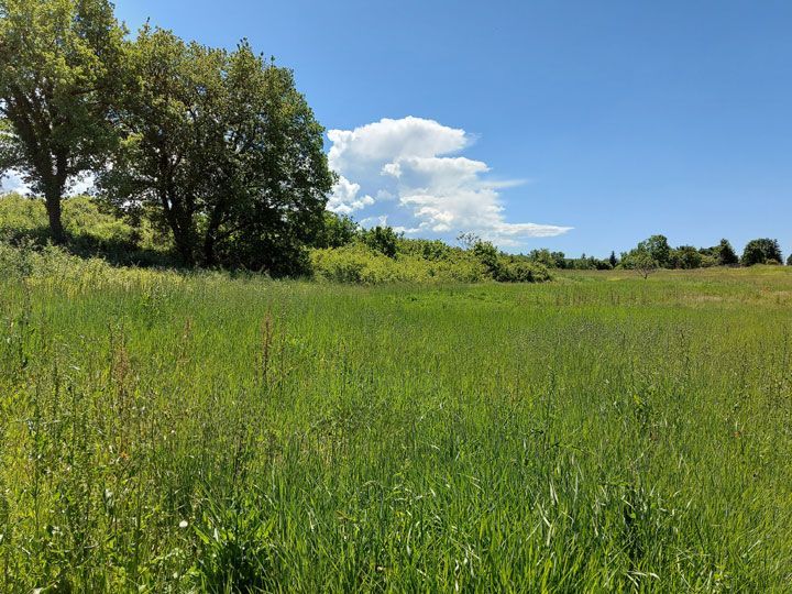 Land-/Forstwirtschaft zum Kauf 150.000 € Bajkini