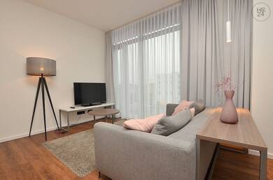 Wohnung zur Miete Wohnen auf Zeit 1.535 € 1 Zimmer 40 m² frei ab 01.09.2025 Frauenland Würzburg 97074