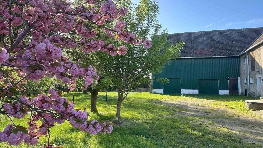 Einfamilienhaus zum Kauf 170.000 € 5 Zimmer 130 m² 1.650 m² Grundstück Plagwitz Machern 04828