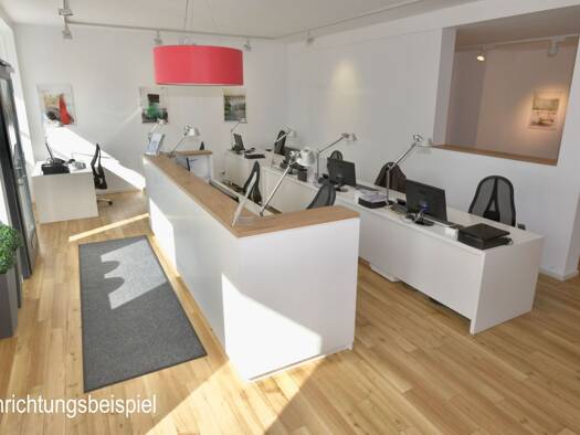 Büro zur Miete provisionsfrei 17 € 9 Zimmer 245 m² Bürofläche Altstadt Mitte 79098