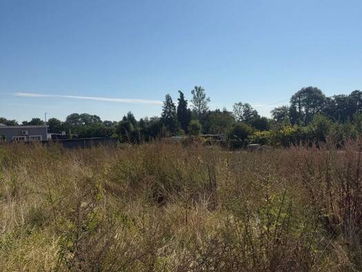 Grundstück zum Kauf 1.000 m² Grundstück Baugenehmigung vorhanden frei ab sofort Nauendorf Großenstein 07580