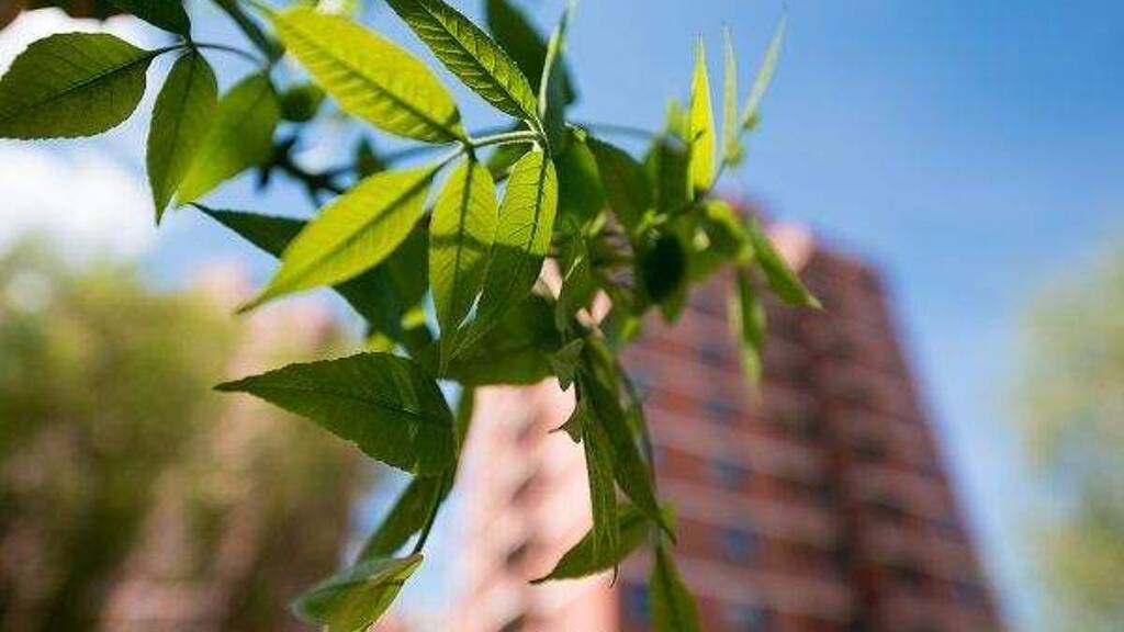 Wohnung zum Kauf 149.000 € 3 Zimmer 93 m² Zieverich Bergheim 50126