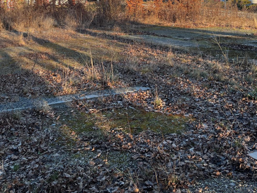 Grundstück zur Miete provisionsfrei 2 € 800 m² Grundstück frei ab 01.05.2026 Albertstadt Dresden 01099