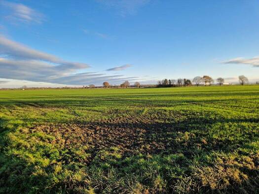 Land-/Forstwirtschaft zum Kauf 648.550 € 54.046 m² Grundstück Werl 59457