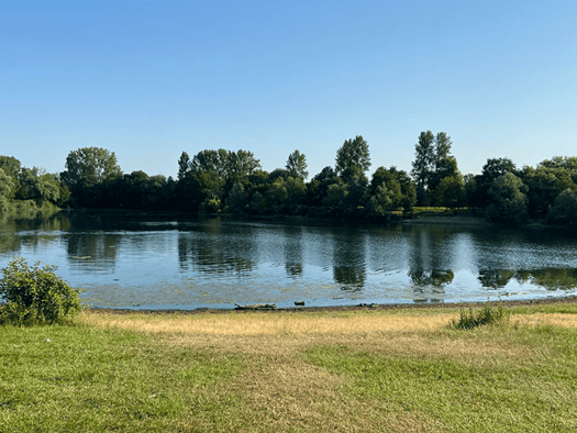 Wohnung zum Kauf 385.000 € 4 Zimmer 92 m² 1. Geschoss Weingarten Südwest 79114