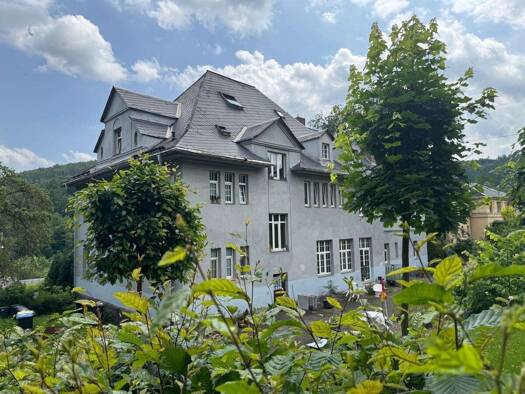 Mehrfamilienhaus zum Kauf 415.000 € 26 Zimmer 604 m² 2.216 m² Grundstück Schneeberg Schneeberg 08289