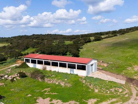 Haus zum Kauf 1.400.000 € 3 Zimmer 100 m² 1.230.000 m² Grundstück Alghero 07041