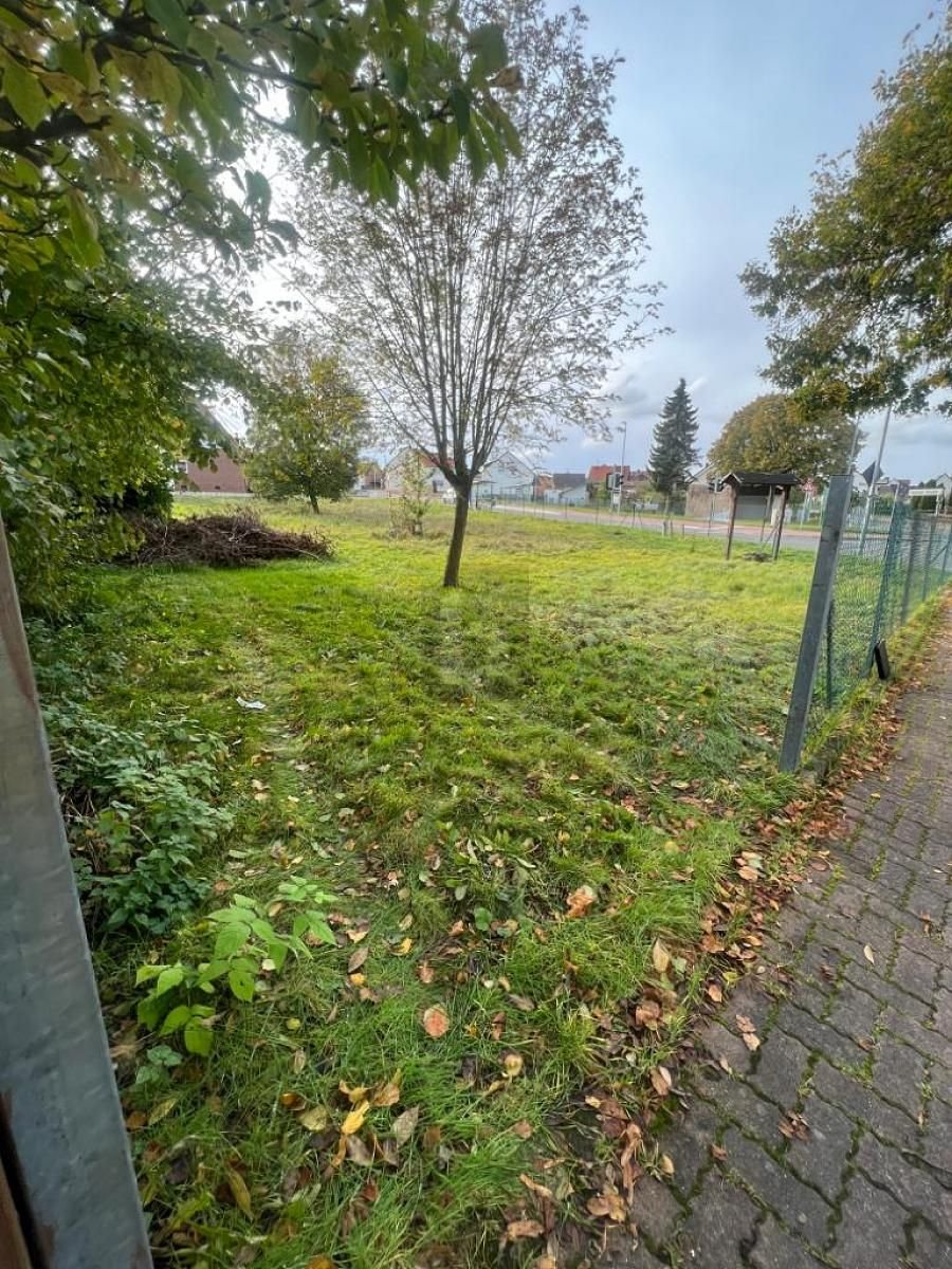 Grundstück zum Kauf 165.000 € 1.600 m²<br/>Grundstück Oberlistingen Breuna 34479