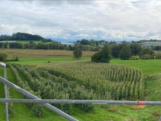 Wohnung zur Miete 1.500 € 2 Zimmer 50 m² Geschoss EG/2 frei ab 01.01.2026 Unterreitnau Lindau (Bodensee) 88131