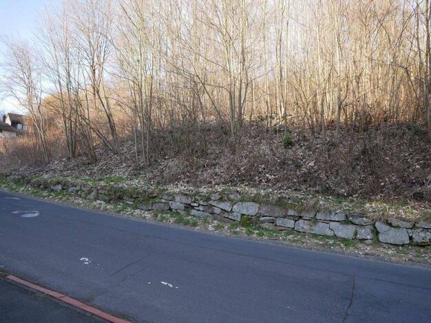 Grundstück zum Kauf 73.500 € 1.444 m² Grundstück Bad Brückenau 97769