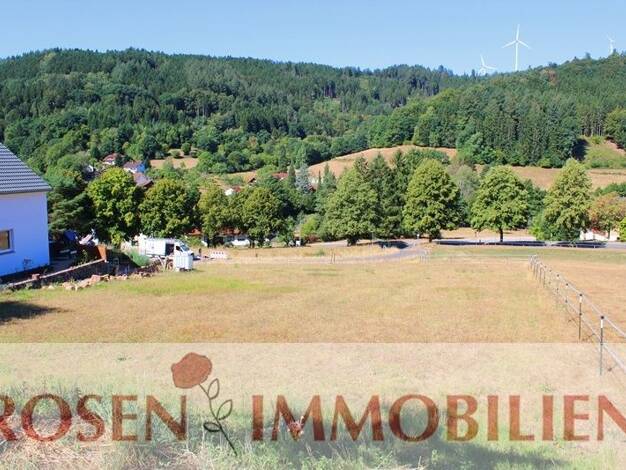 Grundstück zum Kauf 85.000 € 732 m² Grundstück Unter-Schönmattenwag Wald-Michelbach 69483
