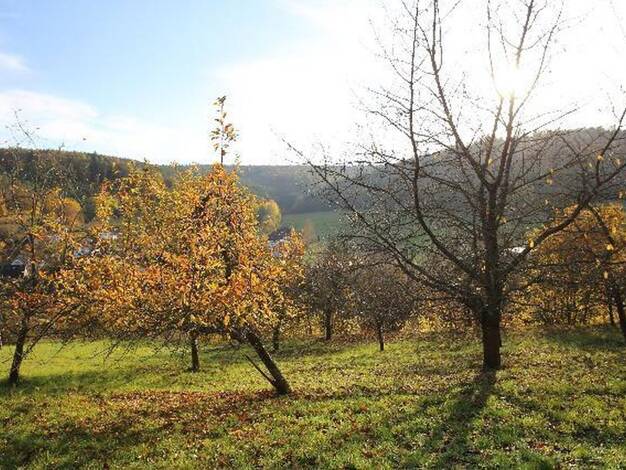 Grundstück zum Kauf provisionsfrei 3.398 m² Grundstück frei ab 21.10.2026 Wald-Amorbach Breuberg 64747