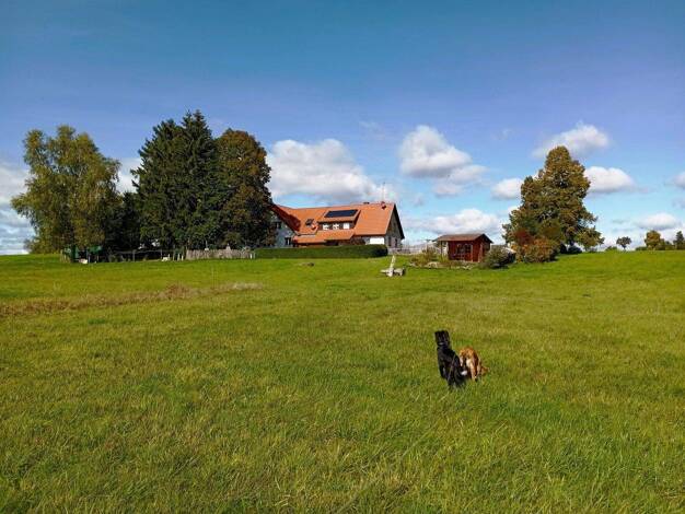 Mehrfamilienhaus zum Kauf provisionsfrei 1.375.000 € 12 Zimmer 390 m² 23.963 m² Grundstück Rötenbach 79877