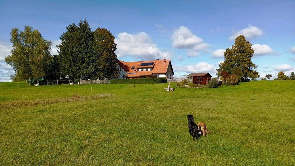 Mehrfamilienhaus zum Kauf provisionsfrei 1.375.000 € 12 Zimmer 390 m² 23.963 m² Grundstück Rötenbach 79877