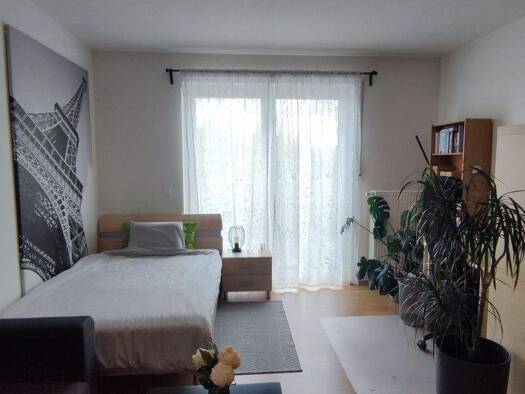 Wohnung zur Miete 470 € 1 Zimmer 32 m² 2. Geschoss frei ab sofort Innenstadt Erlangen 91052