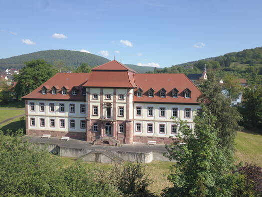 Wohn- und Geschäftshaus zum Kauf provisionsfrei als Kapitalanlage geeignet 2.191 m² 8.000 m² Grundstück Fechenbach Collenberg 97903