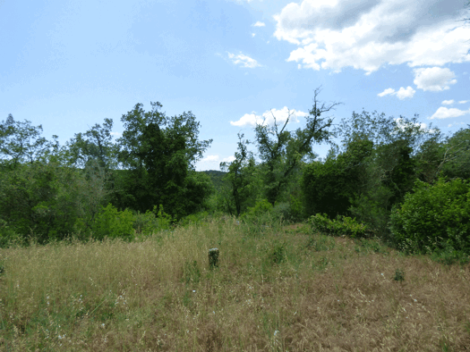 Einfamilienhaus zum Kauf 2.300.000 € 8 Zimmer 250 m² 37.000 m² Grundstück FAYENCE 83440