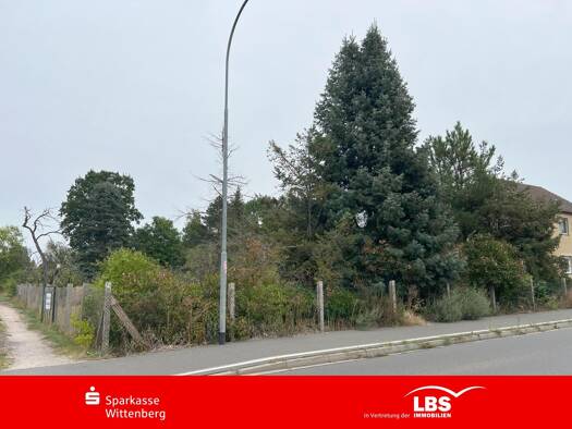 Grundstück zum Kauf 49.000 € 1.869 m² Grundstück Mühlanger Zahna-Elster 06895