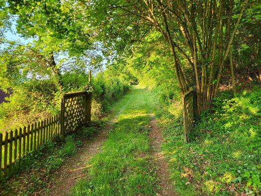 Einfamilienhaus zum Kauf provisionsfrei 285.000 € 3 Zimmer 75 m² 52.000 m² Grundstück Honzrath Beckingen 66701