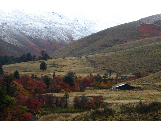 Land-/Forstwirtschaft zum Kauf 12.733.545 € 140.000.000 m² Grundstück Aluminé Aluminé