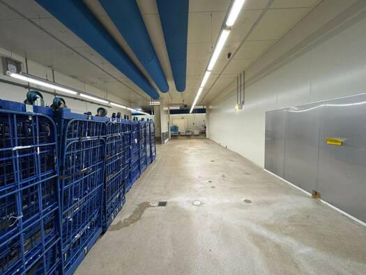 Lagerhalle zur Miete provisionsfrei teilbar von 65 m² bis 670 m² Marienberg Nürnberg 90411