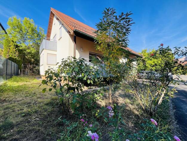 Mehrfamilienhaus zum Kauf 670.000 € 6 Zimmer 167 m² 399 m² Grundstück frei ab sofort Herrenberg Herrenberg 71083