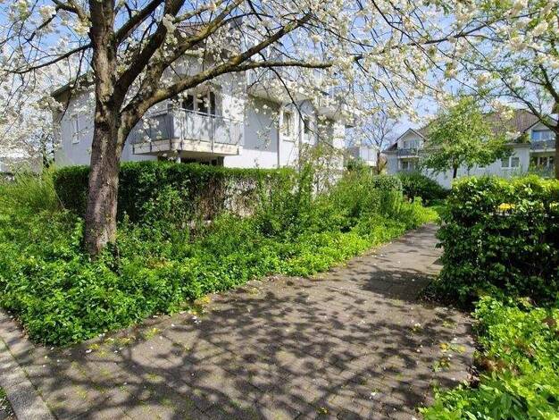 Wohnung zur Miete nur mit Wohnberechtigungsschein 408 € 3,5 Zimmer 72,3 m² 1. Geschoss frei ab 01.02.2026 Am Wetterschacht 17 Drewer Marl 45770