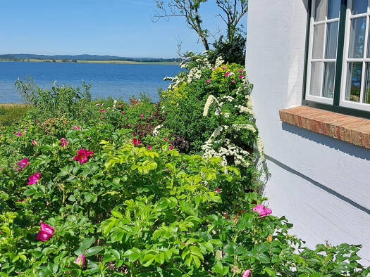 Einfamilienhaus zum Kauf 4 Zimmer 145 m² 3.471 m² Grundstück Gager Mönchgut 18586