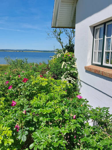 Einfamilienhaus zum Kauf 4 Zimmer 145 m² 3.471 m² Grundstück Gager Mönchgut 18586