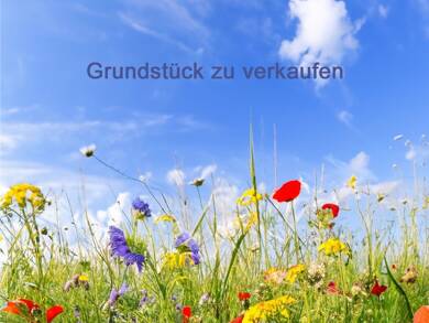 Grundstück zum Kauf 39.900 € 340 m² Grundstück Quierschied Quierschied 66287