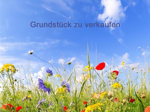 Grundstück zum Kauf 39.900 € 340 m² Grundstück Quierschied 66287