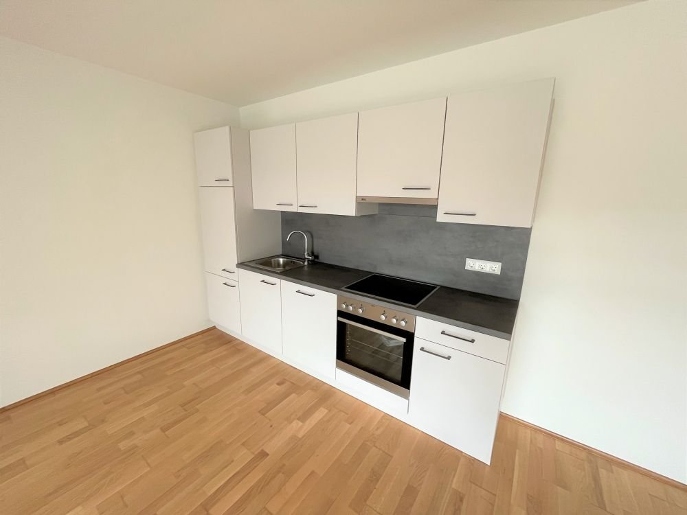 Wohnung zur Miete 572,22 € 2 Zimmer 52 m²<br/>Wohnfläche Lend Graz 8020